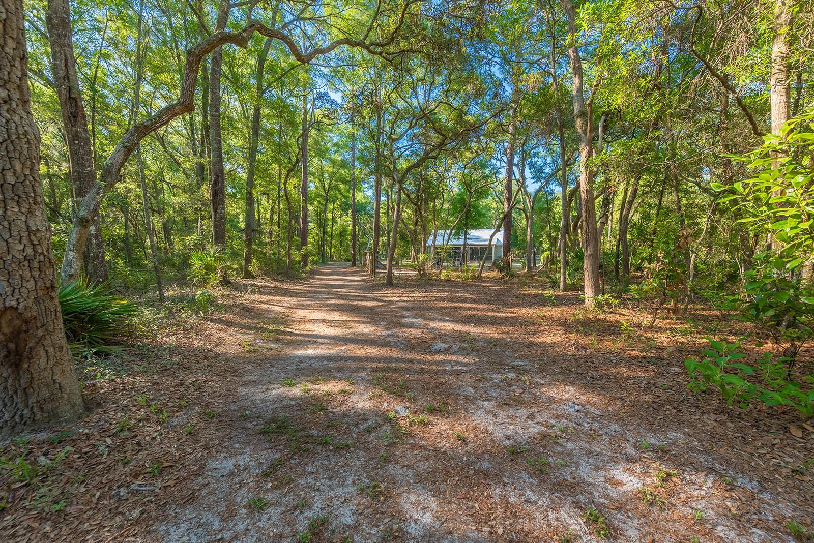 13291 NW 86TH AVE, CHIEFLAND, FL, 32626