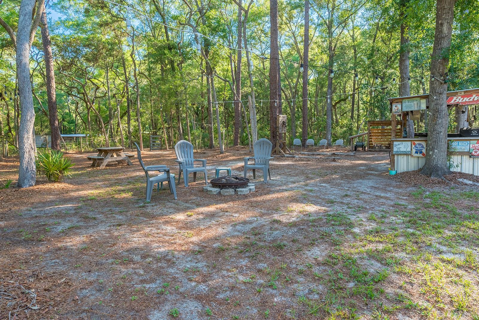 13291 NW 86TH AVE, CHIEFLAND, FL, 32626