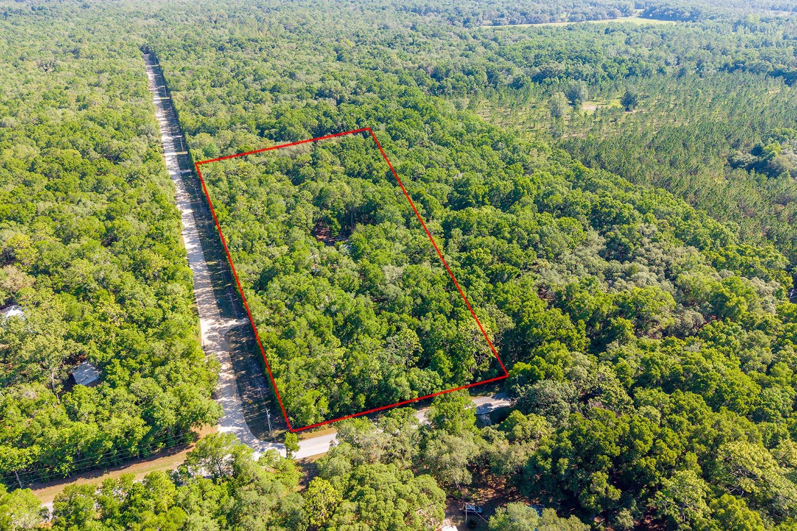 13291 NW 86TH AVE, CHIEFLAND, FL, 32626