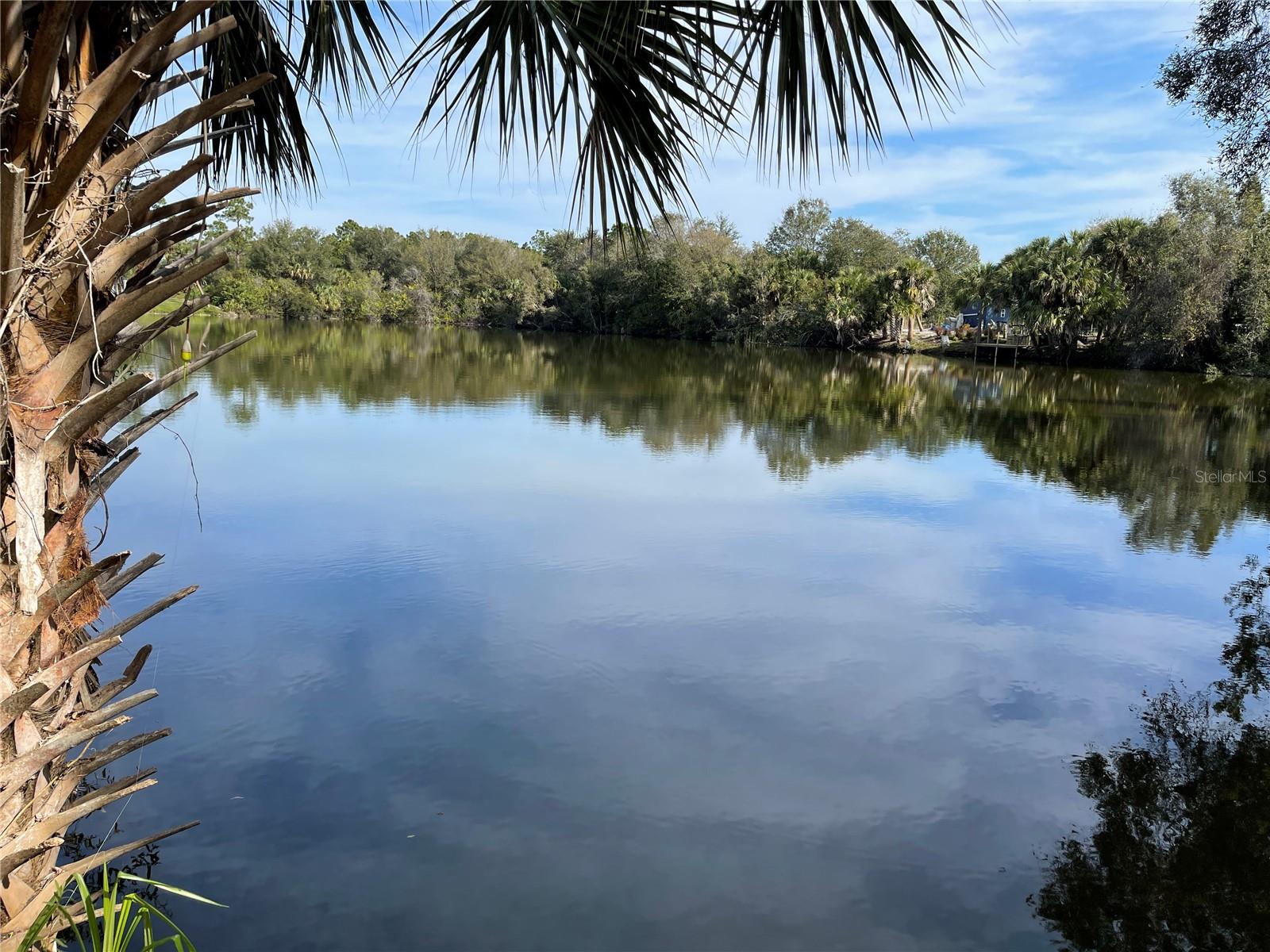 12152 BORAX AVE, PUNTA GORDA, FL, 33955
