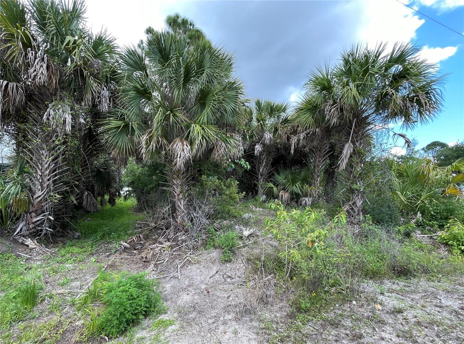 12152 BORAX AVE, PUNTA GORDA, FL, 33955