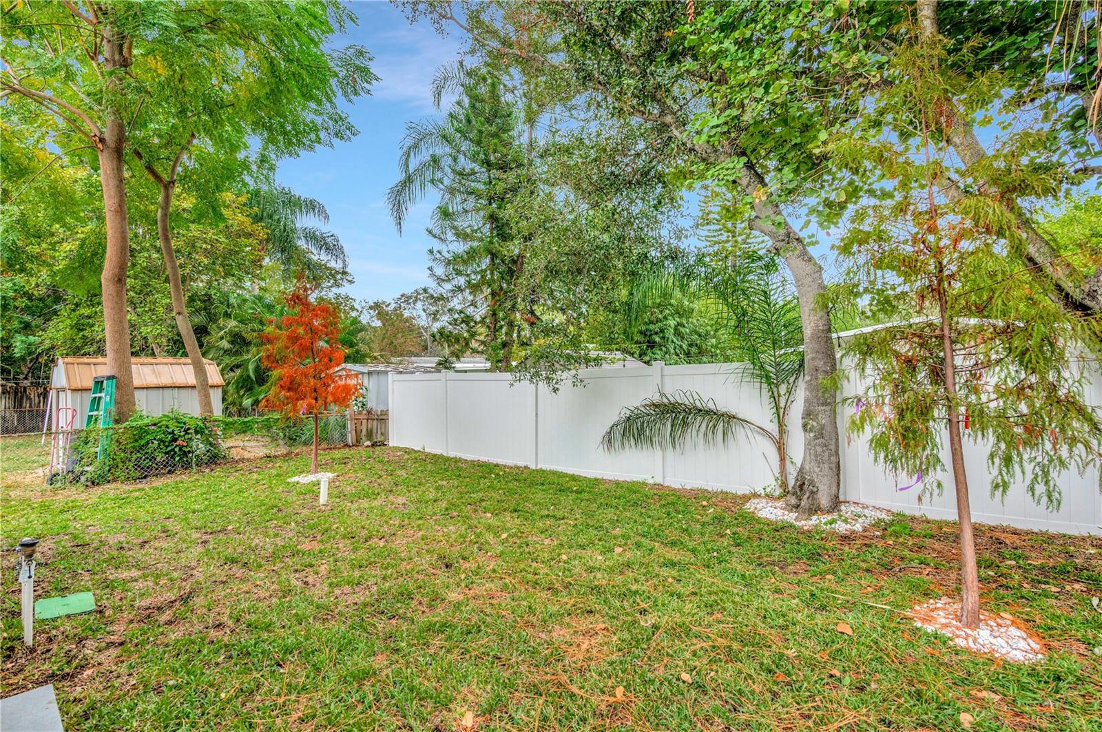 1105 CONANT AVE, SAFETY HARBOR, FL, 34695