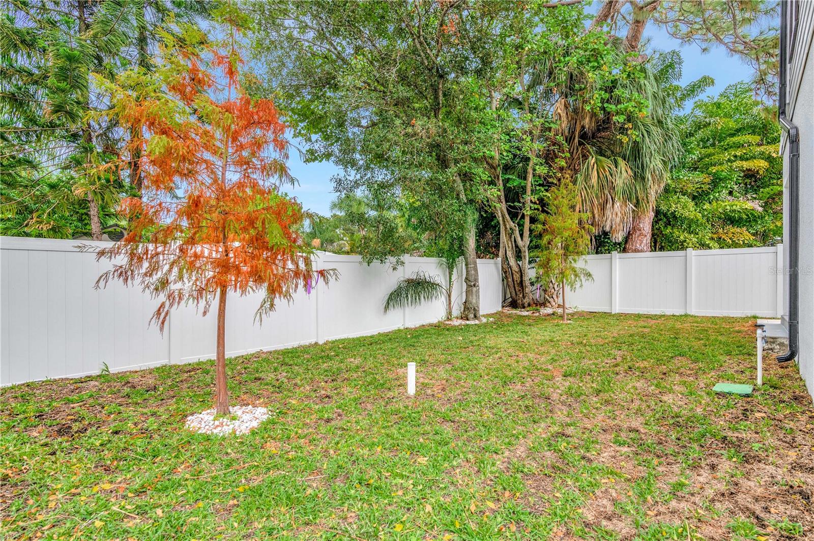 1105 CONANT AVE, SAFETY HARBOR, FL, 34695