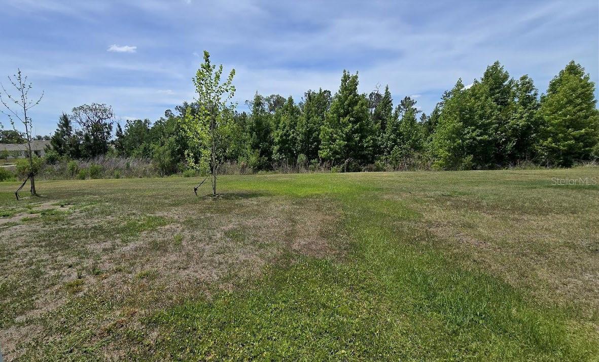 3547 WHALE ROCK CT, LAKELAND, FL, 33811