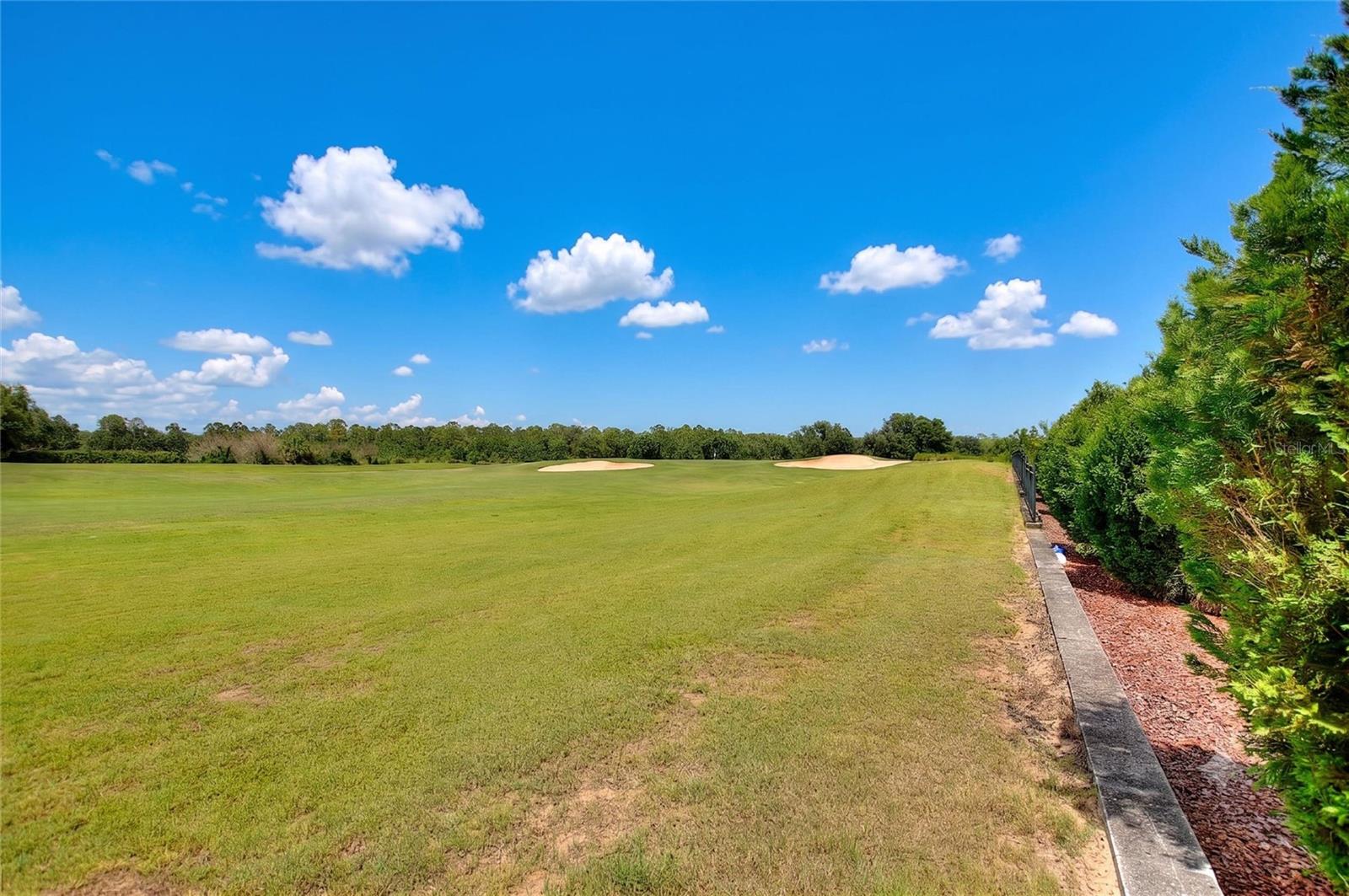 1045 BLACKWOLF RUN RD, DAVENPORT, FL, 33896