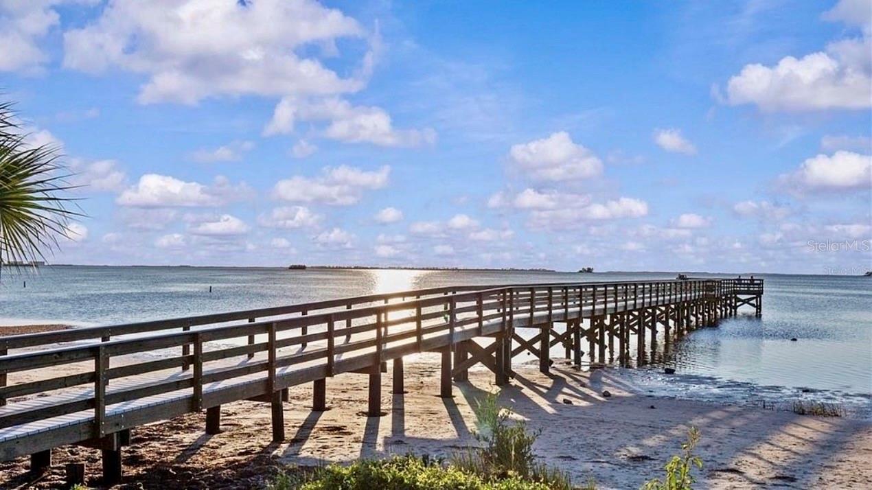 313 CRYSTAL BEACH AVE, CRYSTAL BEACH, FL, 34681
