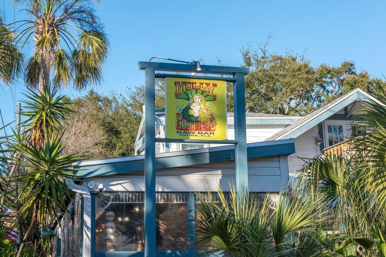 530 RYANS WOODS LN, PALM HARBOR, FL, 34683