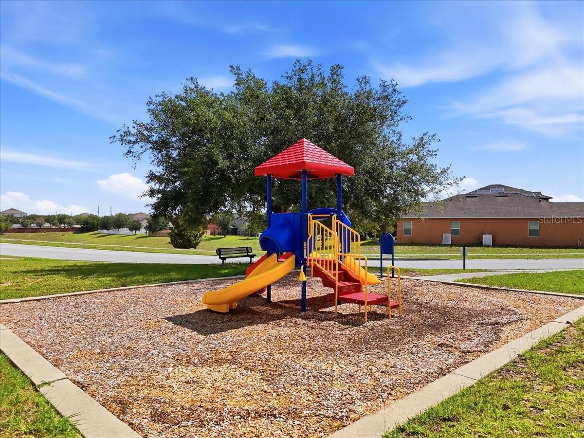 9012 ORANGE BLOSSOM LOOP, HAINES CITY, FL, 33844