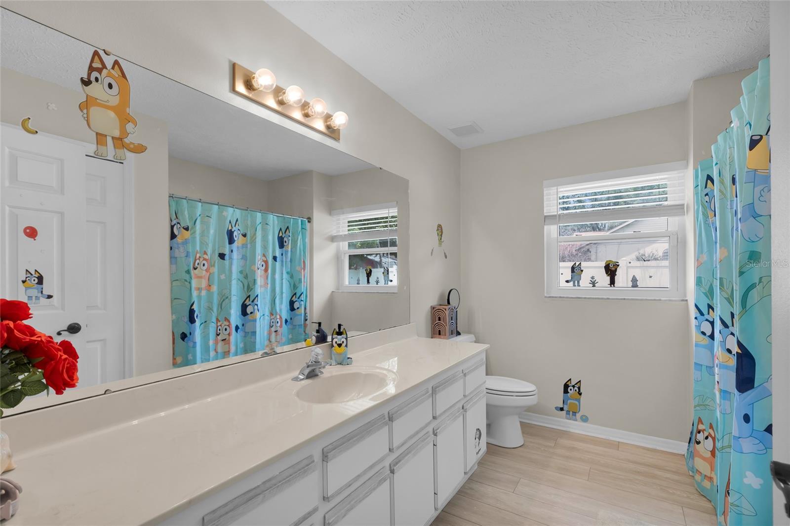 3007 DUPONT ST, EUSTIS, FL, 32726