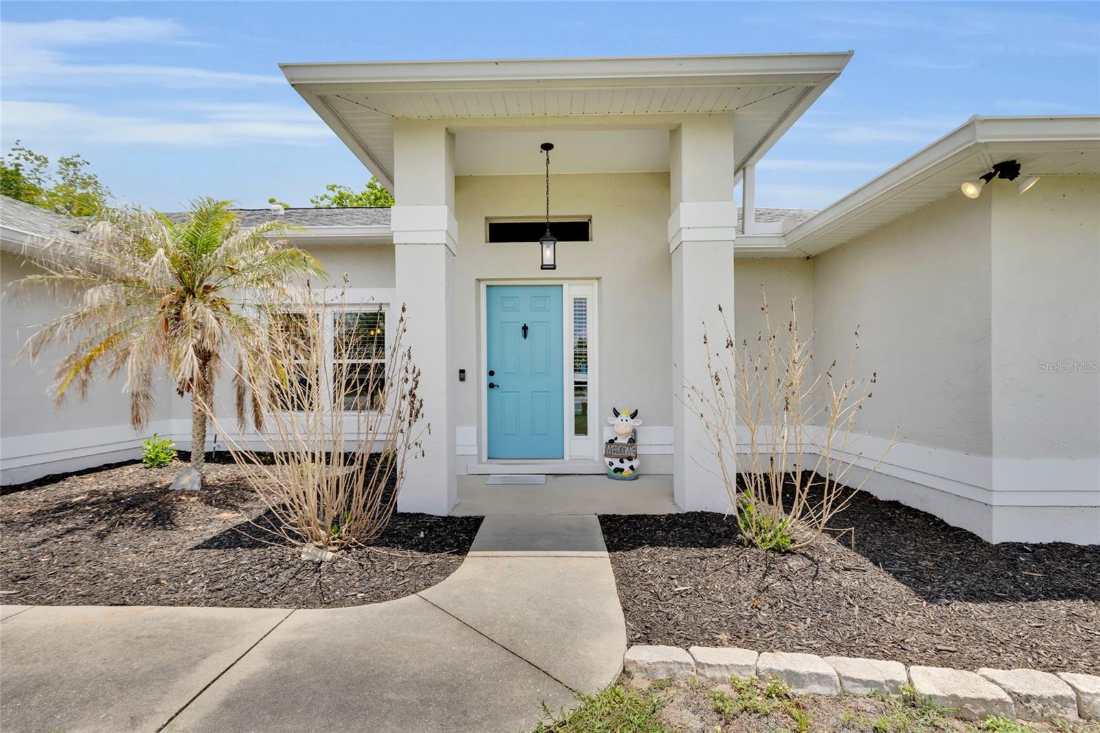 3007 DUPONT ST, EUSTIS, FL, 32726
