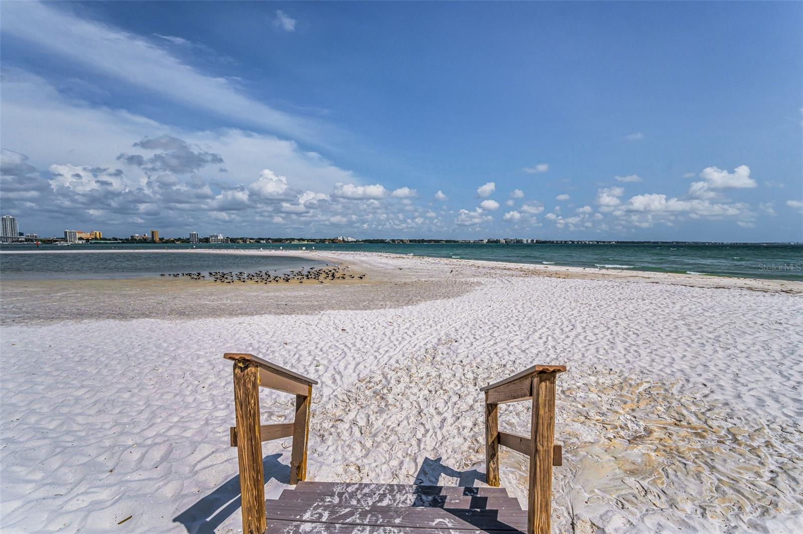 855 BAYWAY BLVD #708, CLEARWATER BEACH, FL, 33767