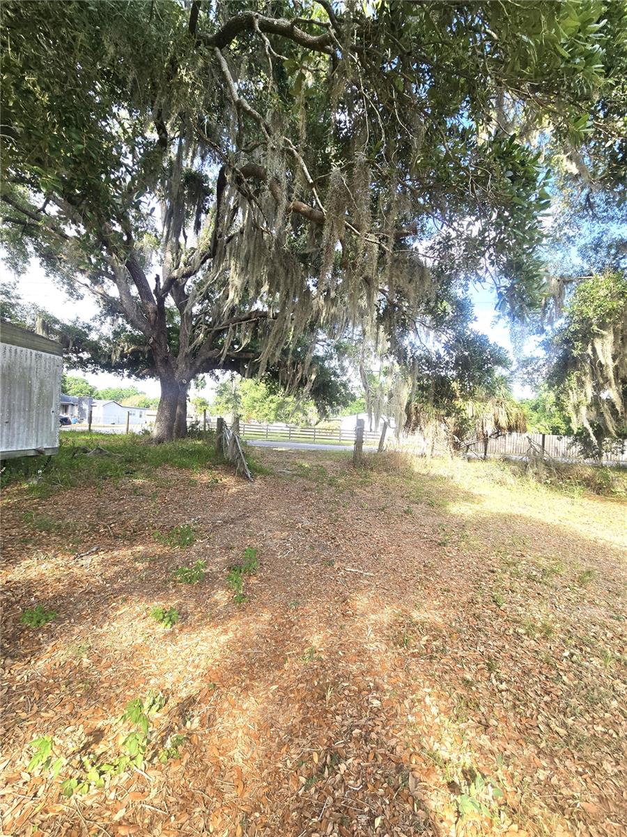 1124 JERRY SMITH RD, DOVER, FL, 33527
