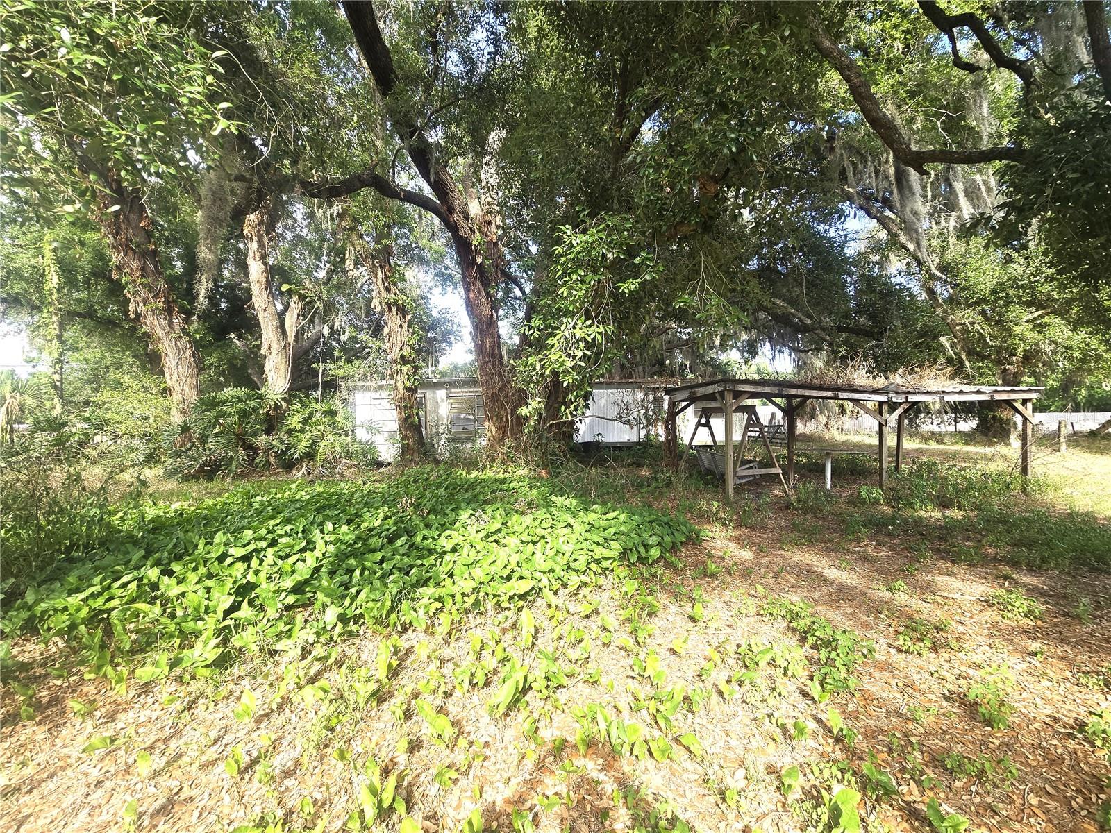 1124 JERRY SMITH RD, DOVER, FL, 33527