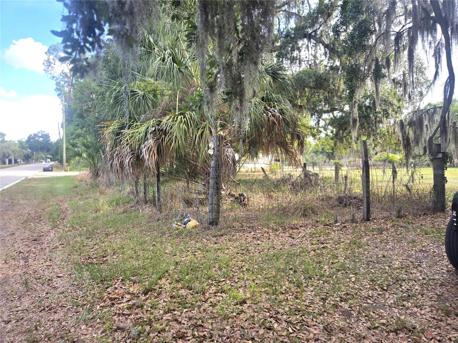 1124 JERRY SMITH RD, DOVER, FL, 33527