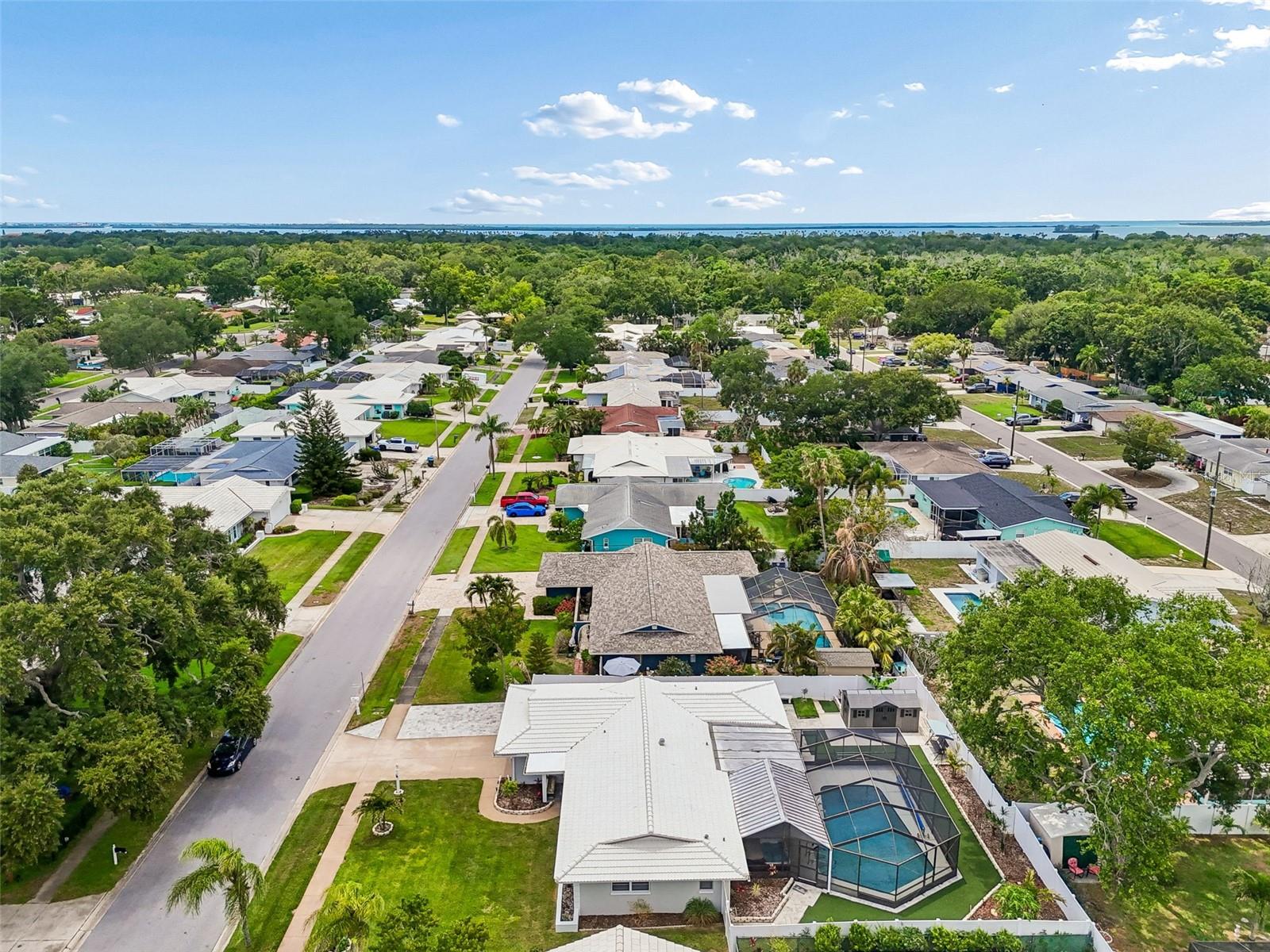 1110 MCCARTY ST, DUNEDIN, FL, 34698