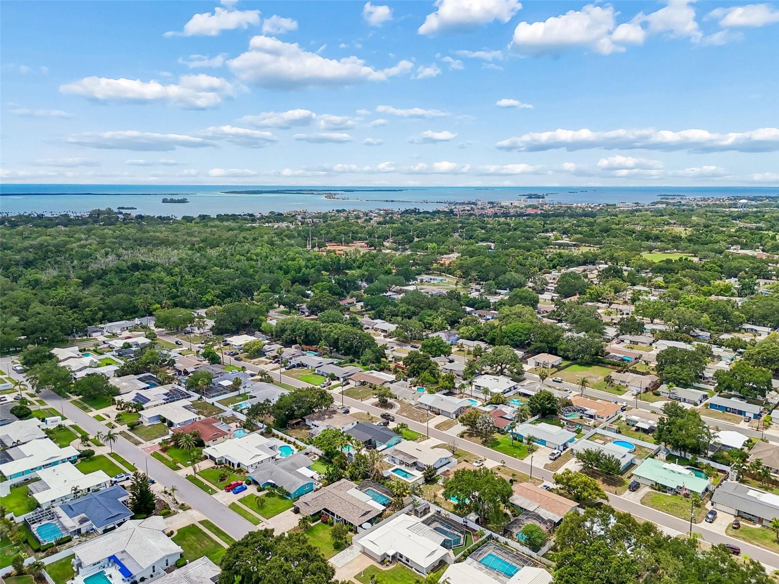 1110 MCCARTY ST, DUNEDIN, FL, 34698