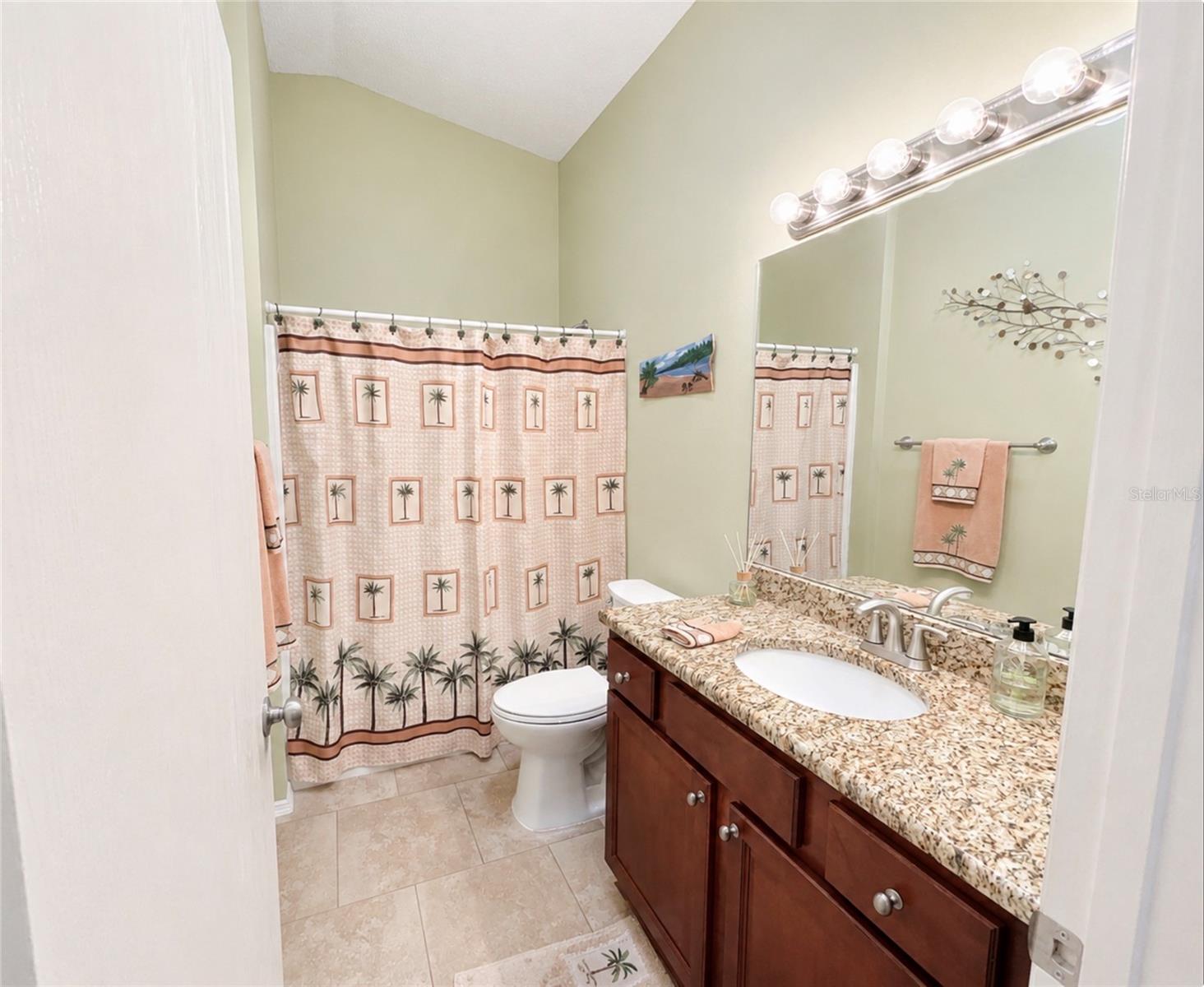 16848 SE 94TH SUNNYBROOK CIR, THE VILLAGES, FL, 32162