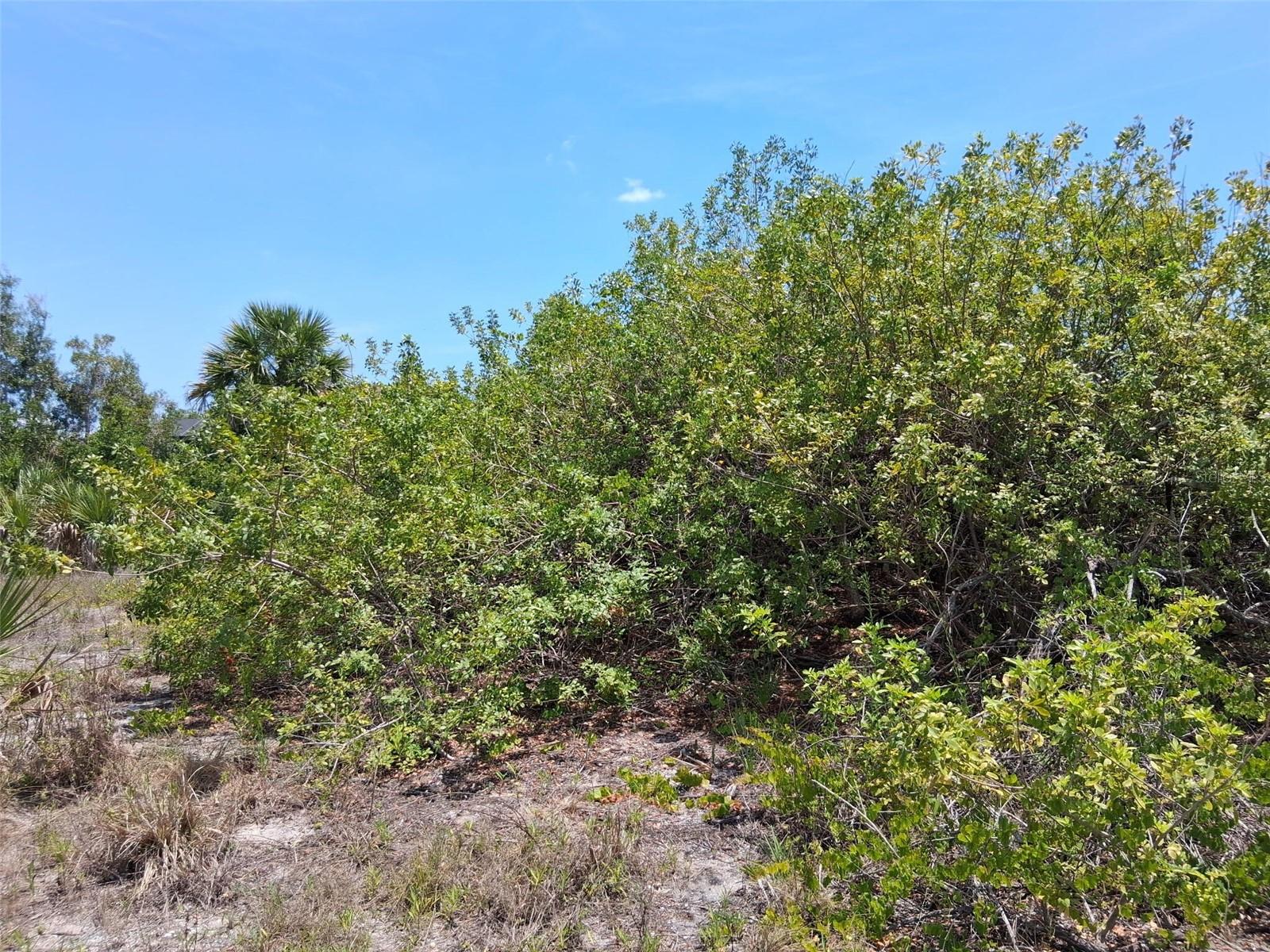 10166 KINGSVILLE DR, PORT CHARLOTTE, FL, 33981