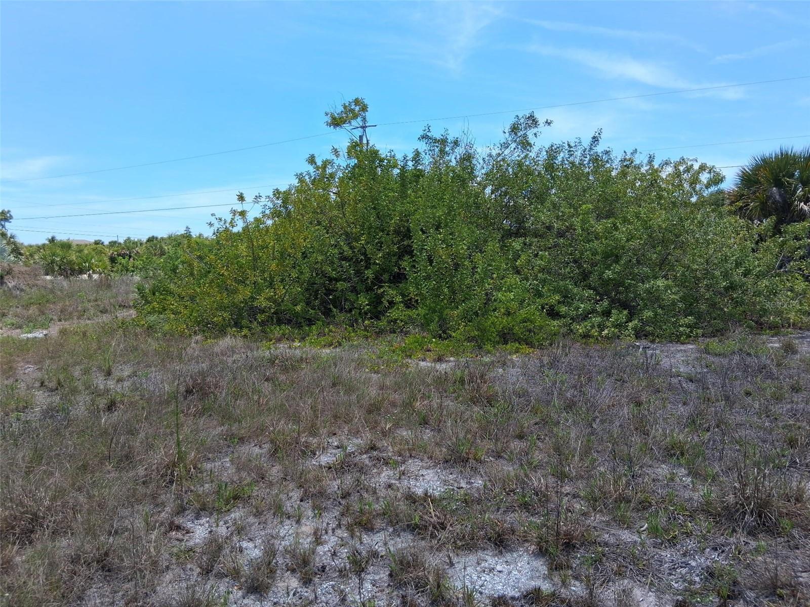 10166 KINGSVILLE DR, PORT CHARLOTTE, FL, 33981