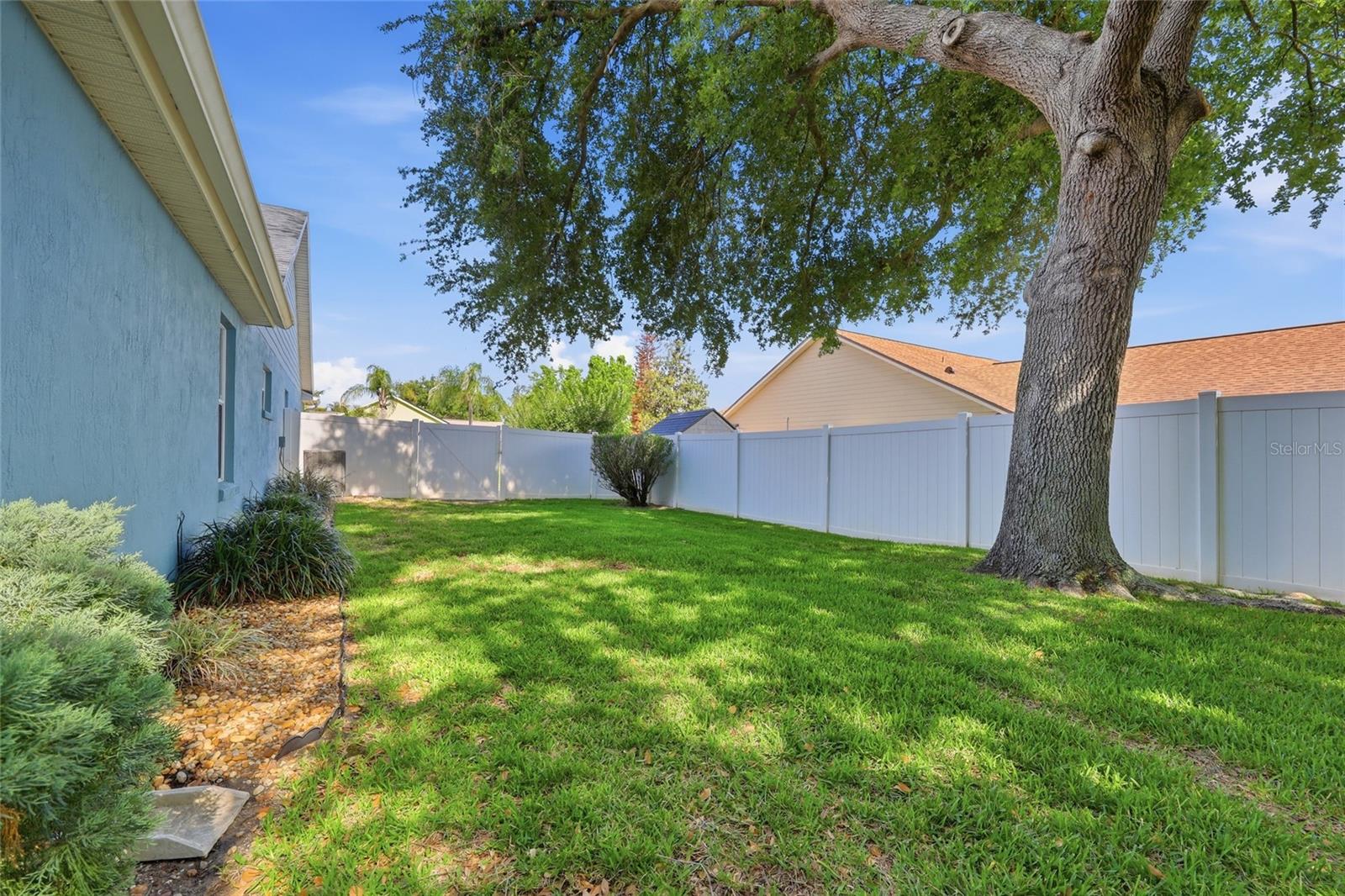 12646 SCOTTISH PINE LN, CLERMONT, FL, 34711