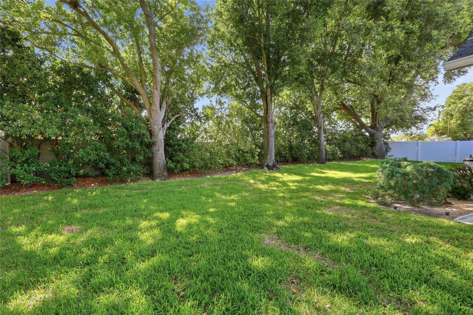 12646 SCOTTISH PINE LN, CLERMONT, FL, 34711