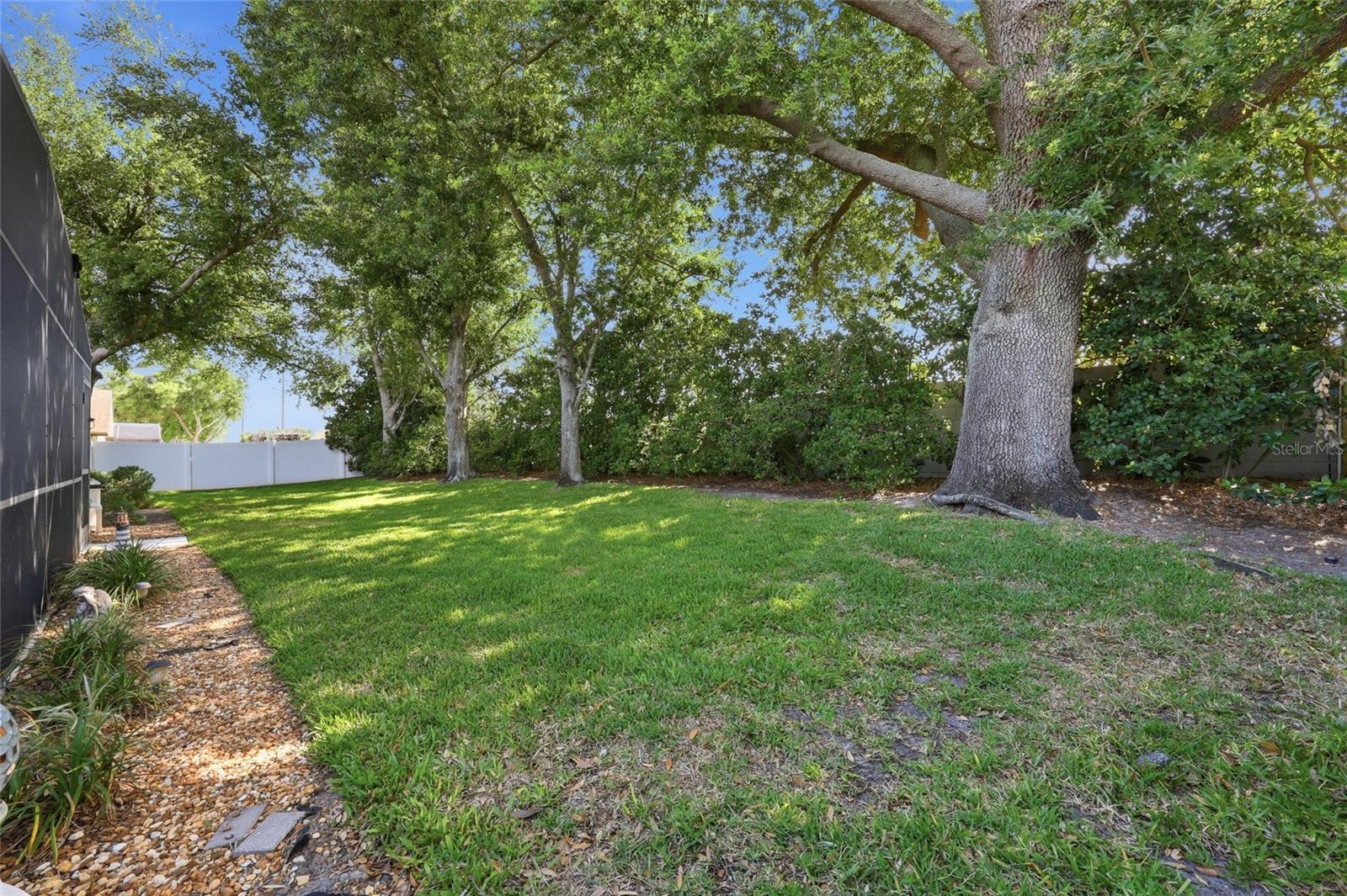 12646 SCOTTISH PINE LN, CLERMONT, FL, 34711