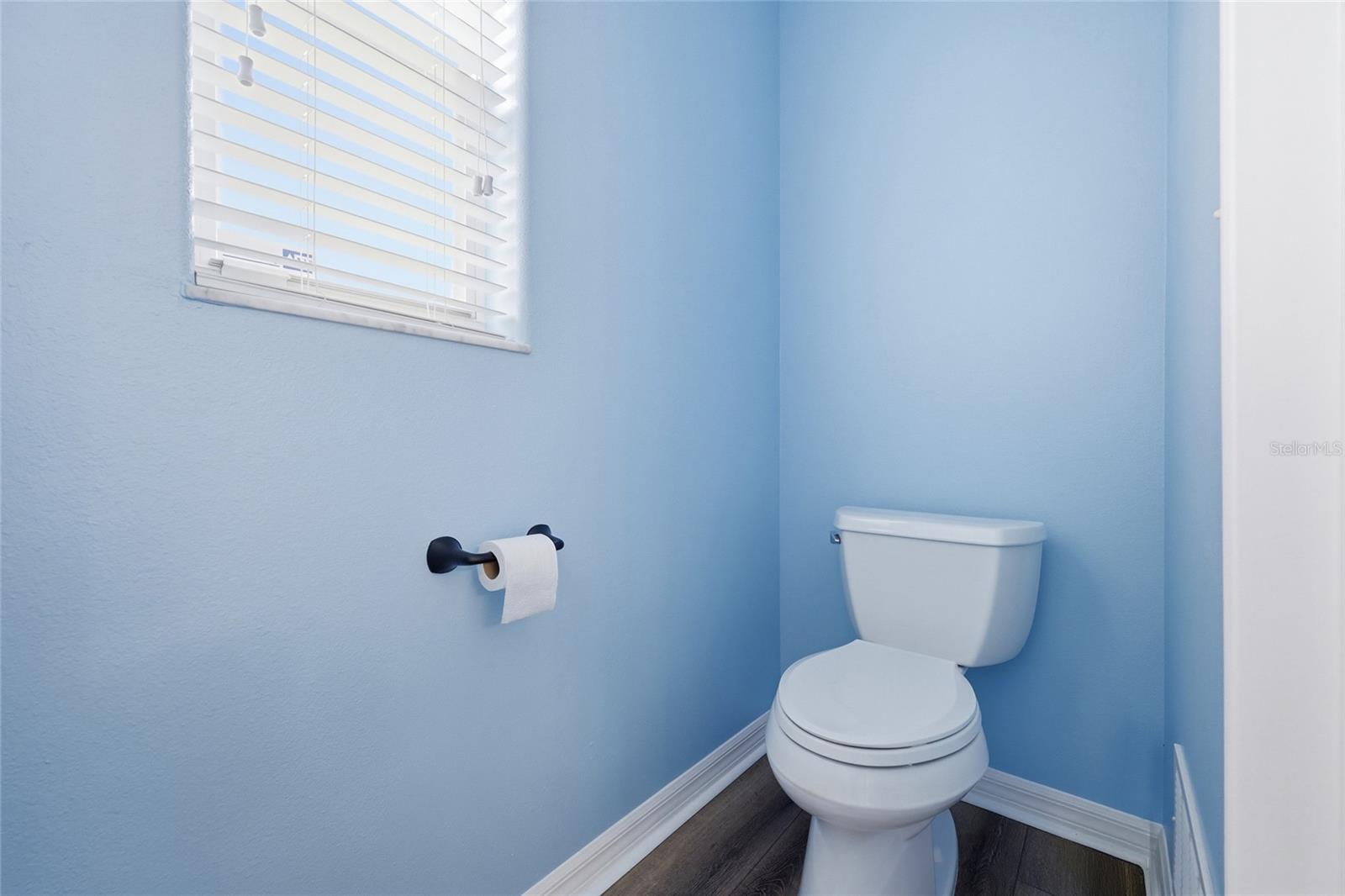 12646 SCOTTISH PINE LN, CLERMONT, FL, 34711