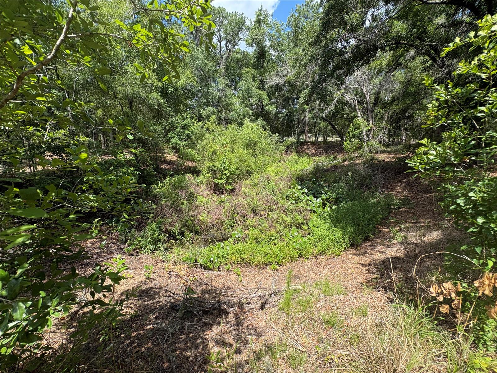 12708 FARMETTES RD, LAKELAND, FL, 33809