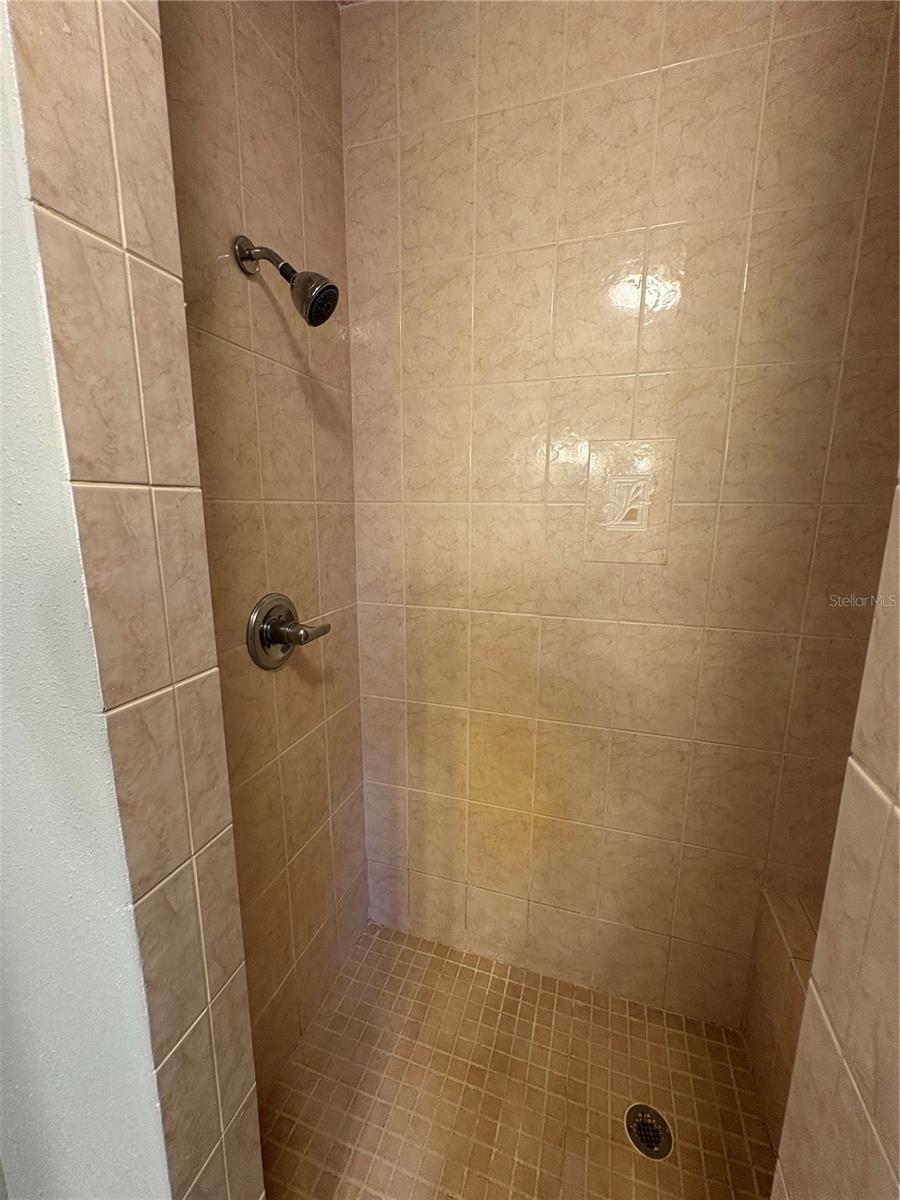 12708 FARMETTES RD, LAKELAND, FL, 33809