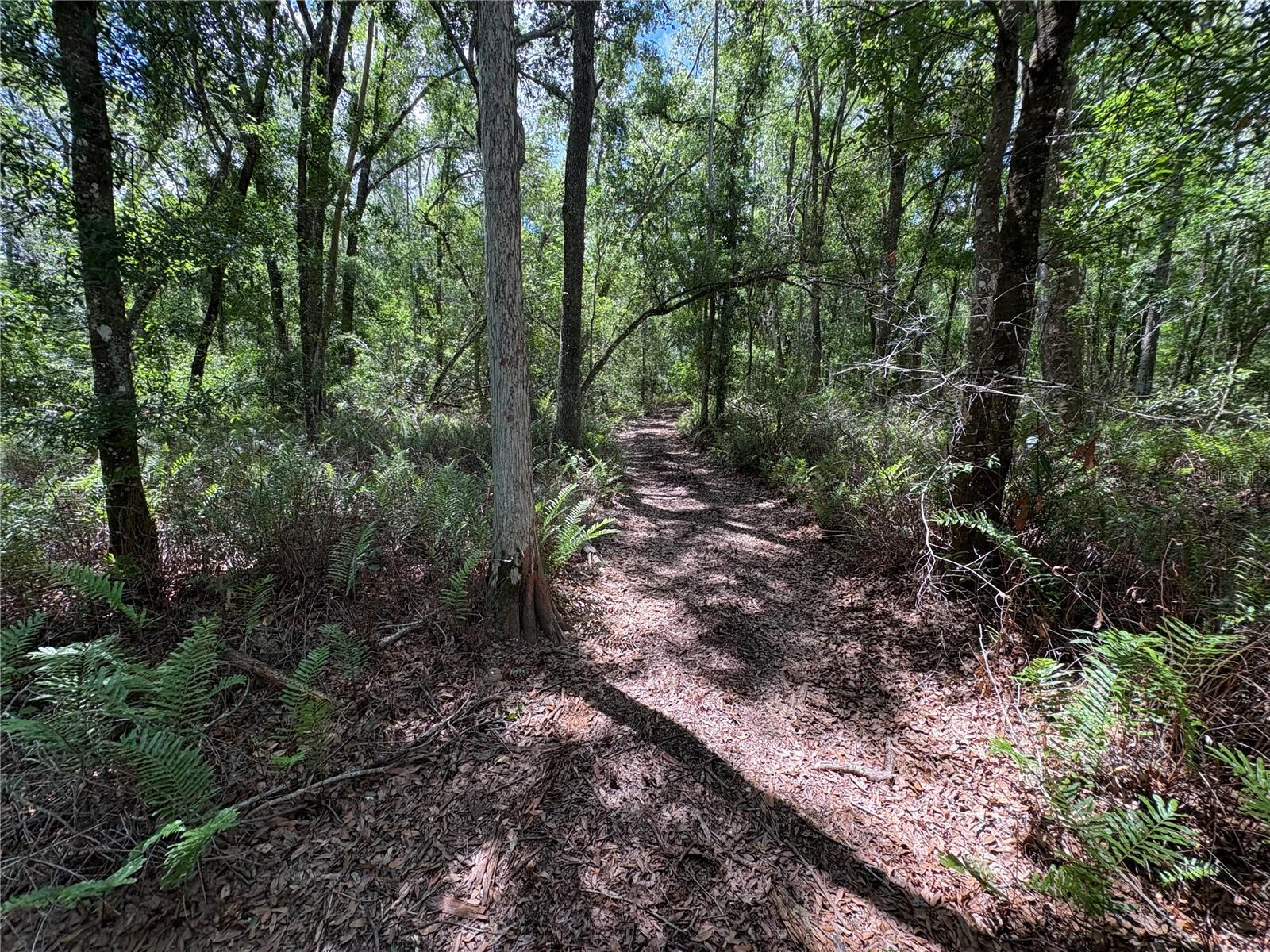 12708 FARMETTES RD, LAKELAND, FL, 33809