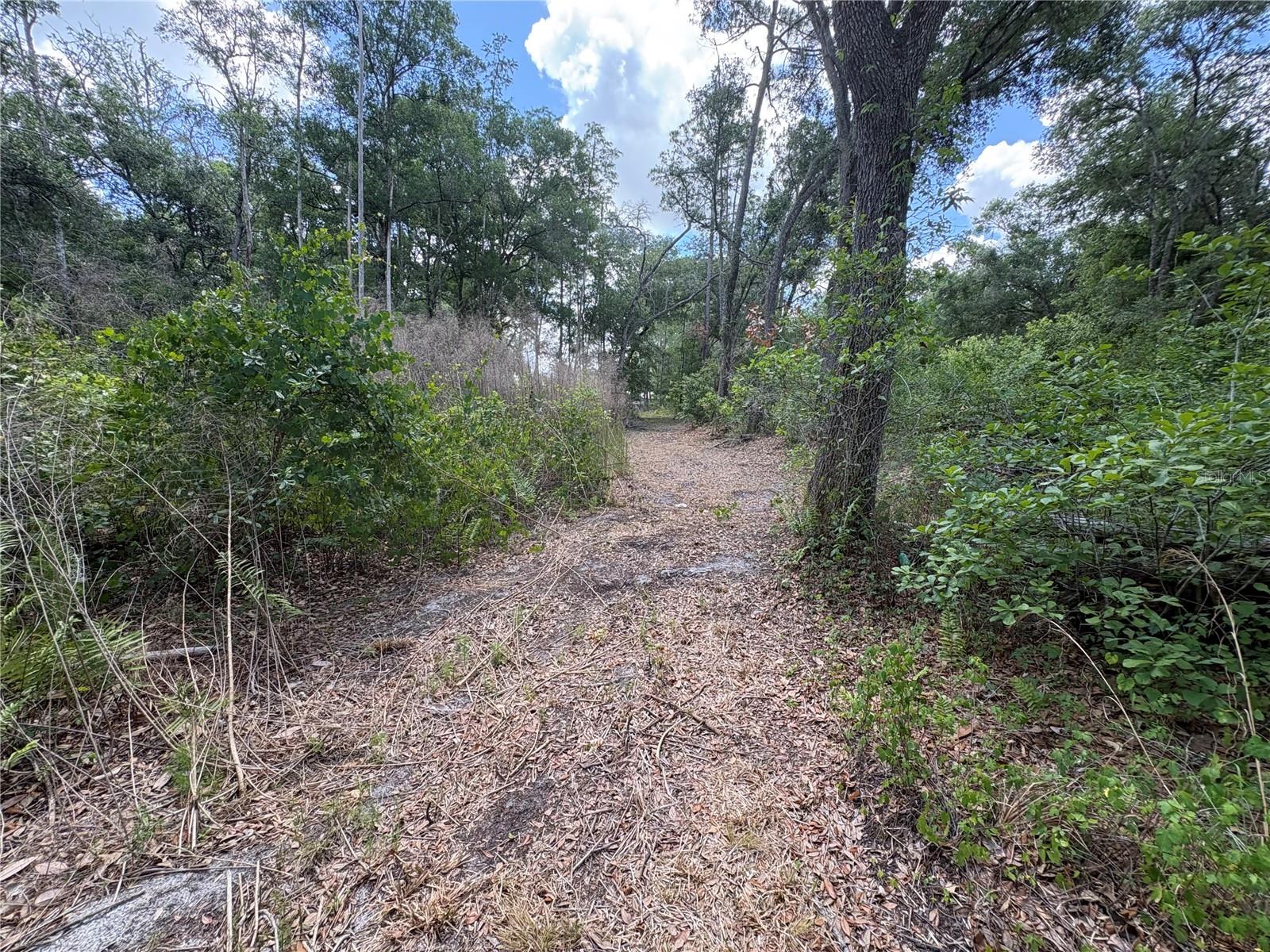 12708 FARMETTES RD, LAKELAND, FL, 33809