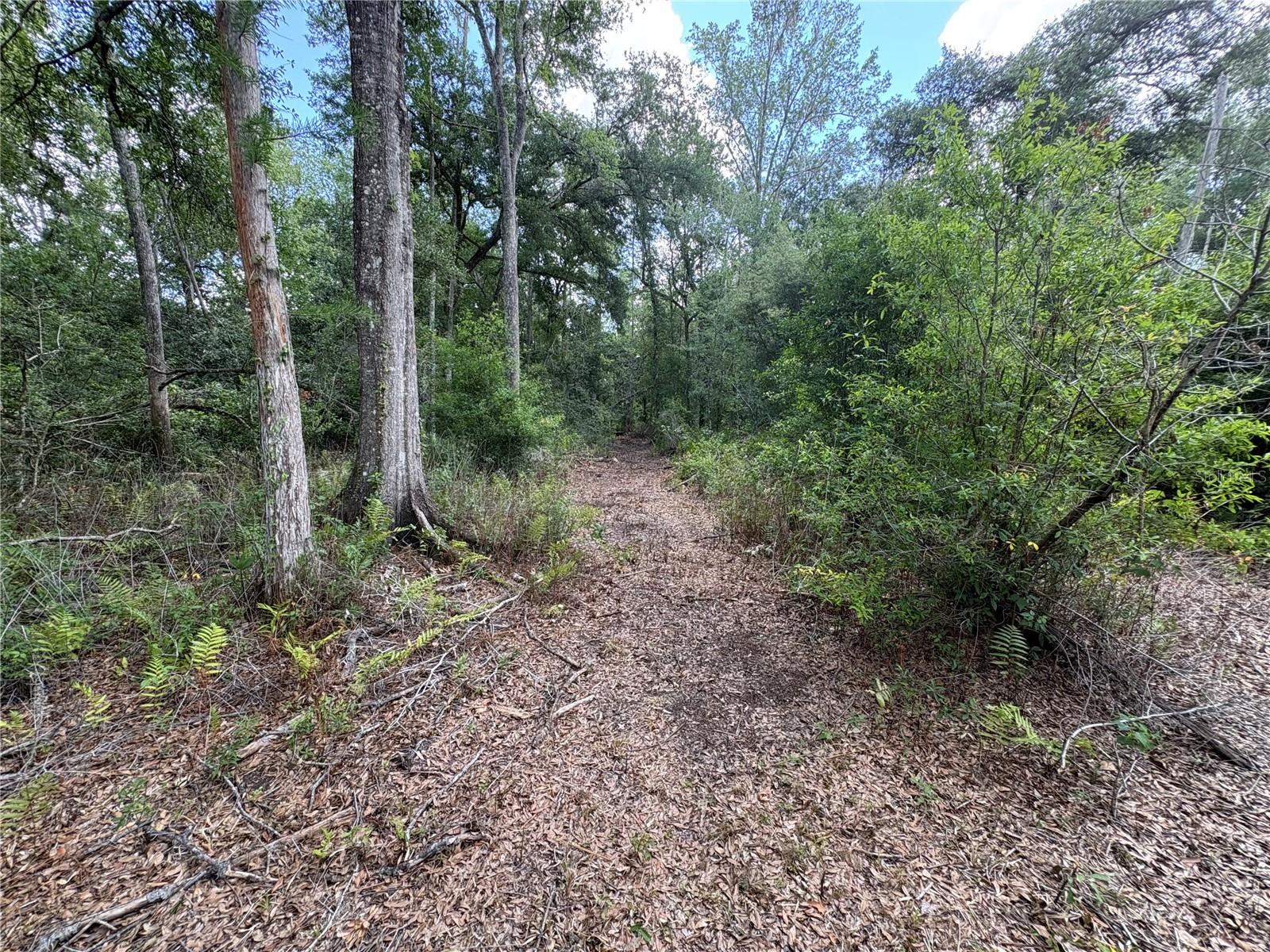 12708 FARMETTES RD, LAKELAND, FL, 33809