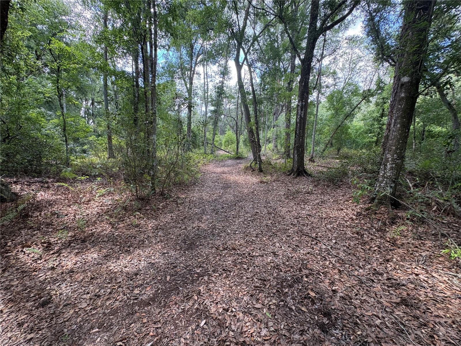 12708 FARMETTES RD, LAKELAND, FL, 33809