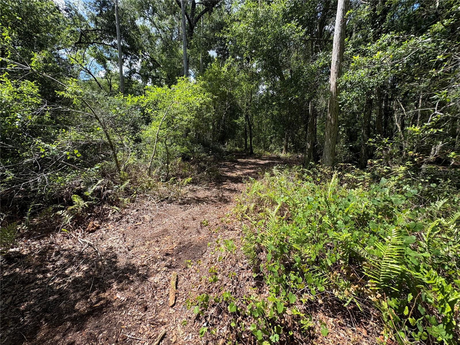 12708 FARMETTES RD, LAKELAND, FL, 33809
