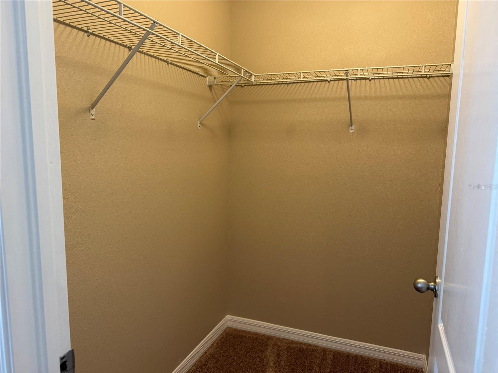 10273 VILLA PALAZZO CT, TAMPA, FL, 33615