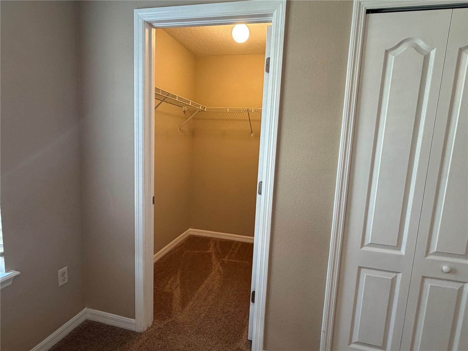 10273 VILLA PALAZZO CT, TAMPA, FL, 33615