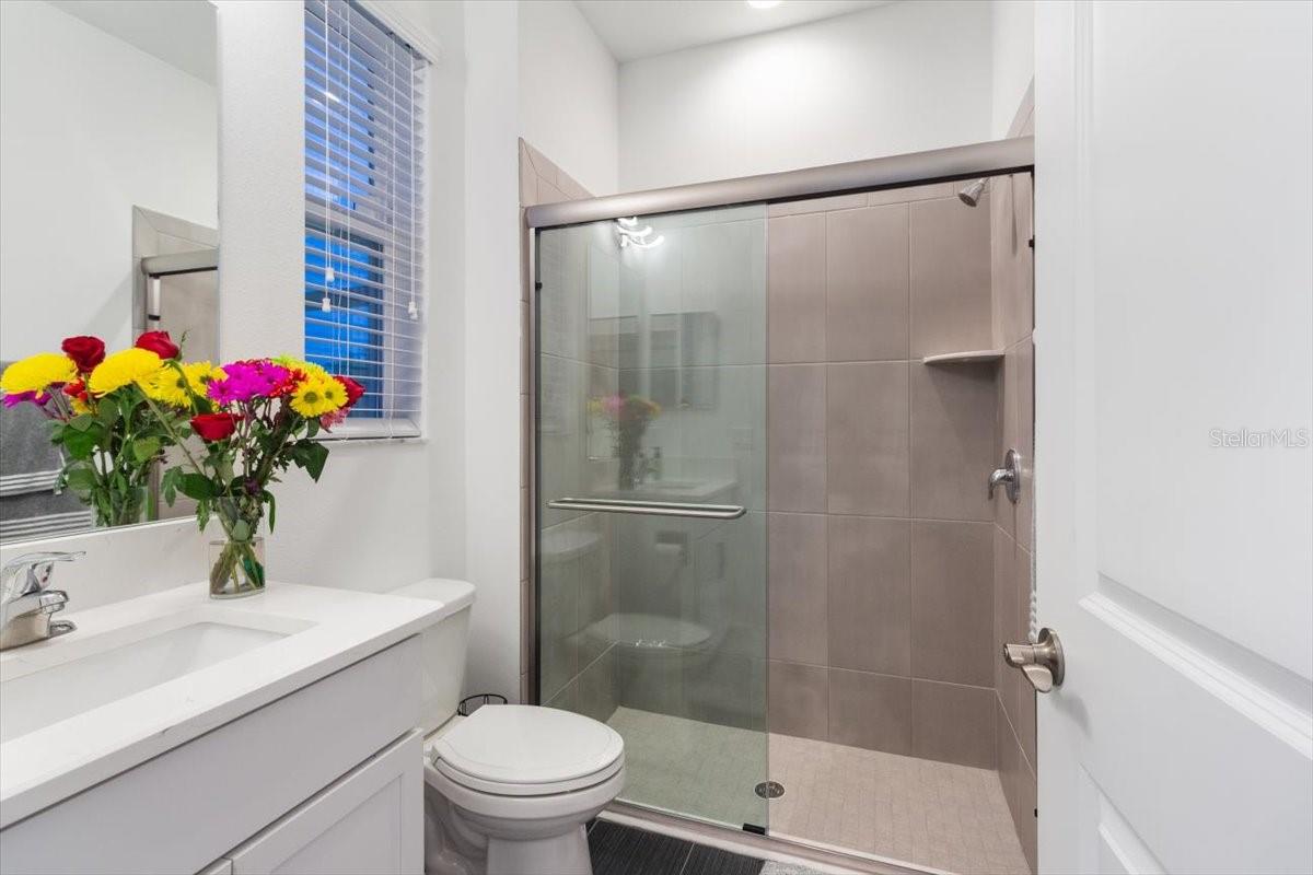 33239 KATELAND DR, WESLEY CHAPEL, FL, 33545