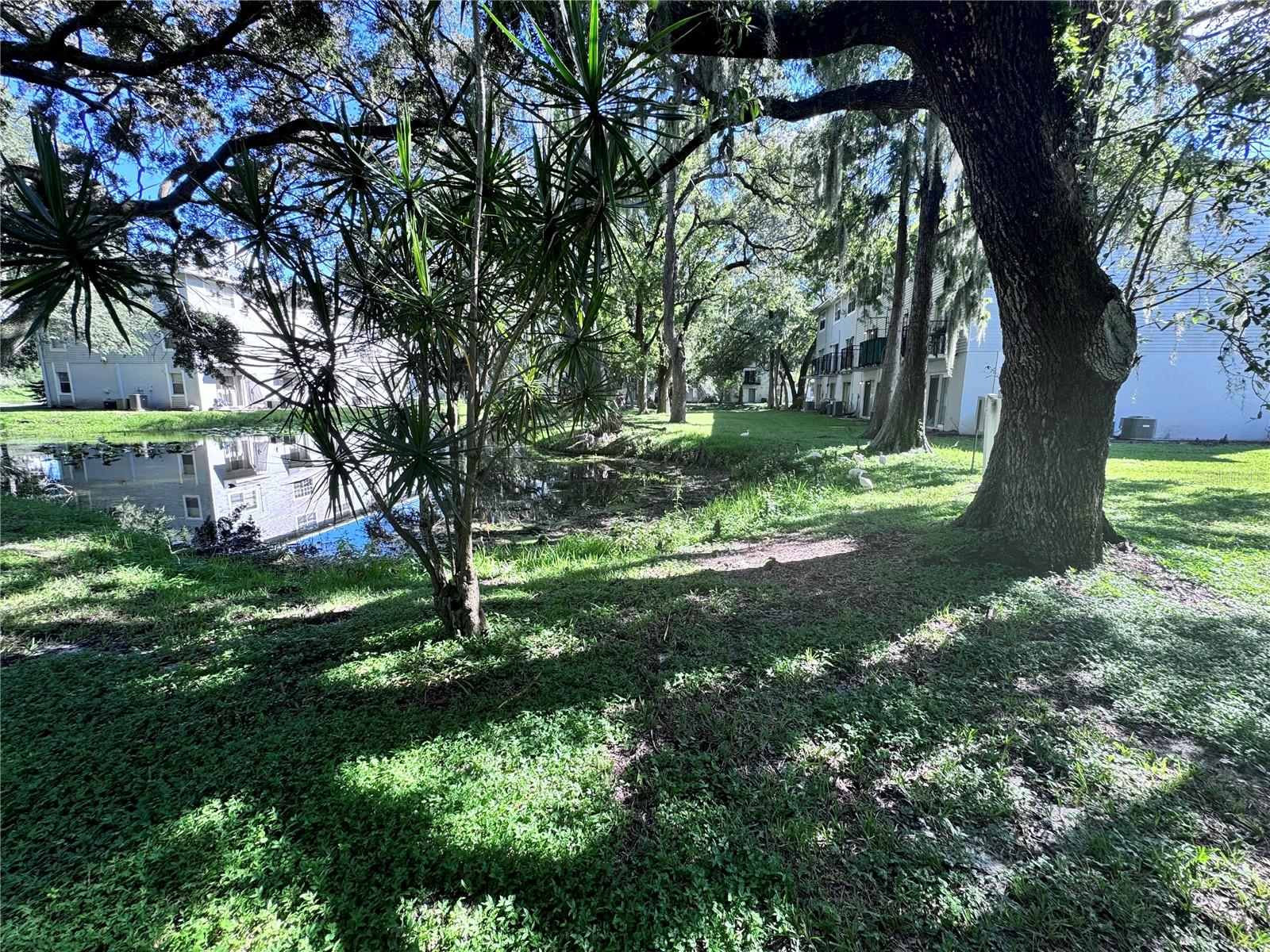 7177 E BANK DR #102, TAMPA, FL, 33617