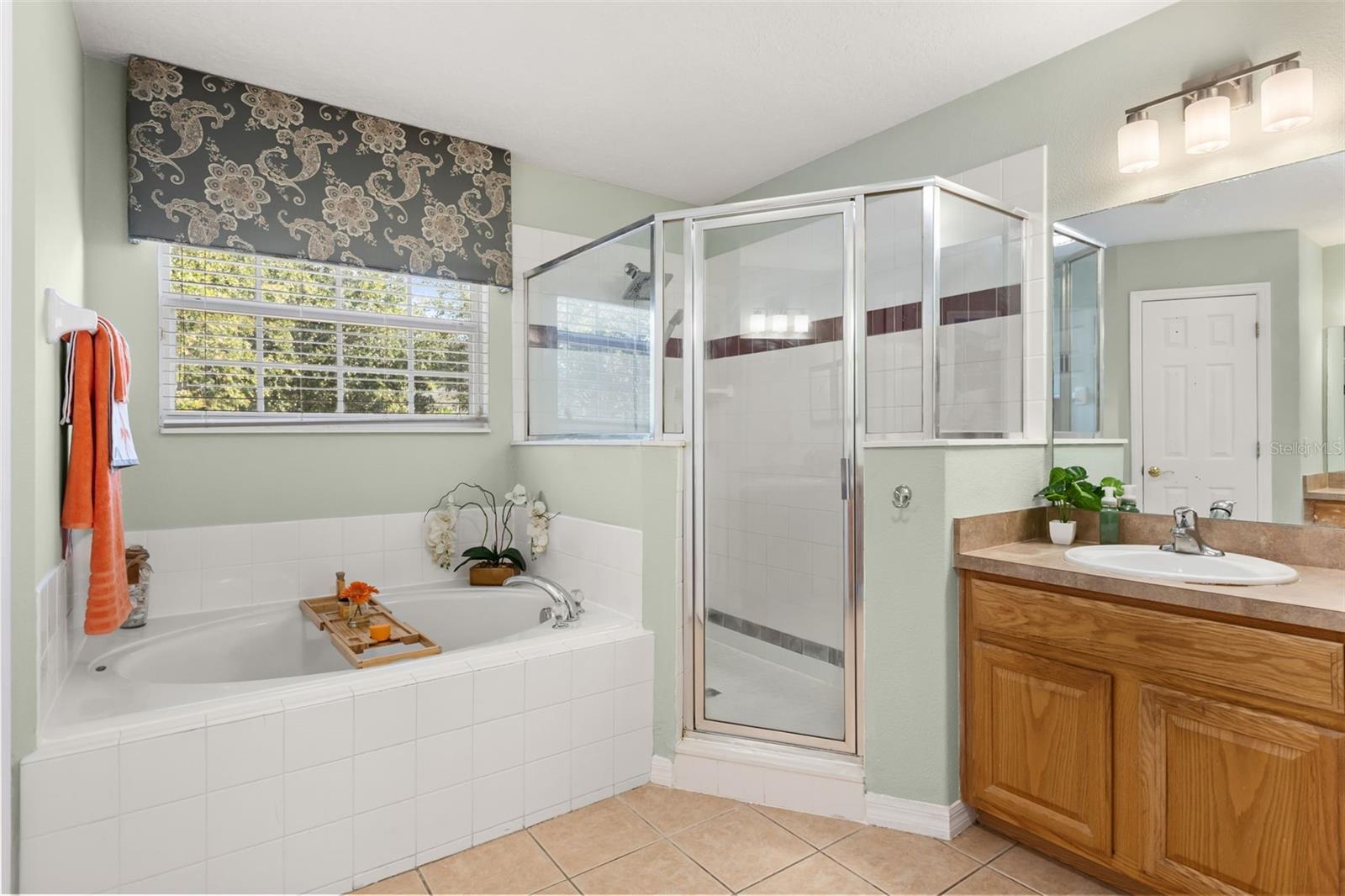 163 HIGHGATE PARK BLVD, DAVENPORT, FL, 33897