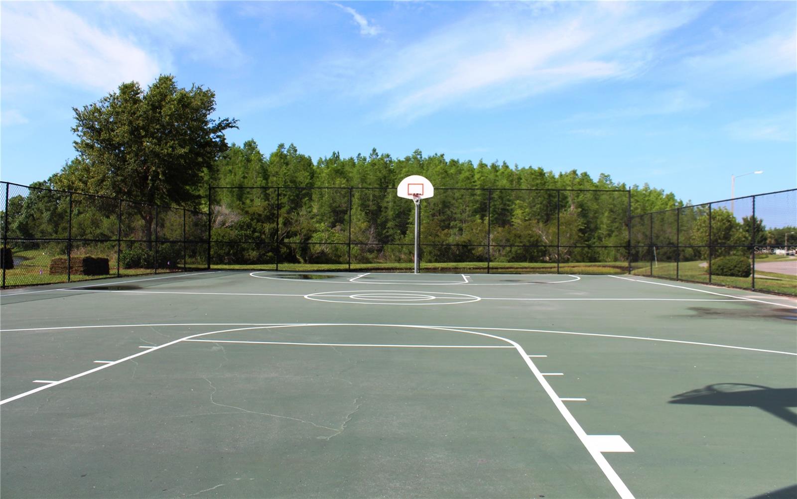 18021 ATHERSTONE TRL, LAND O LAKES, FL, 34638