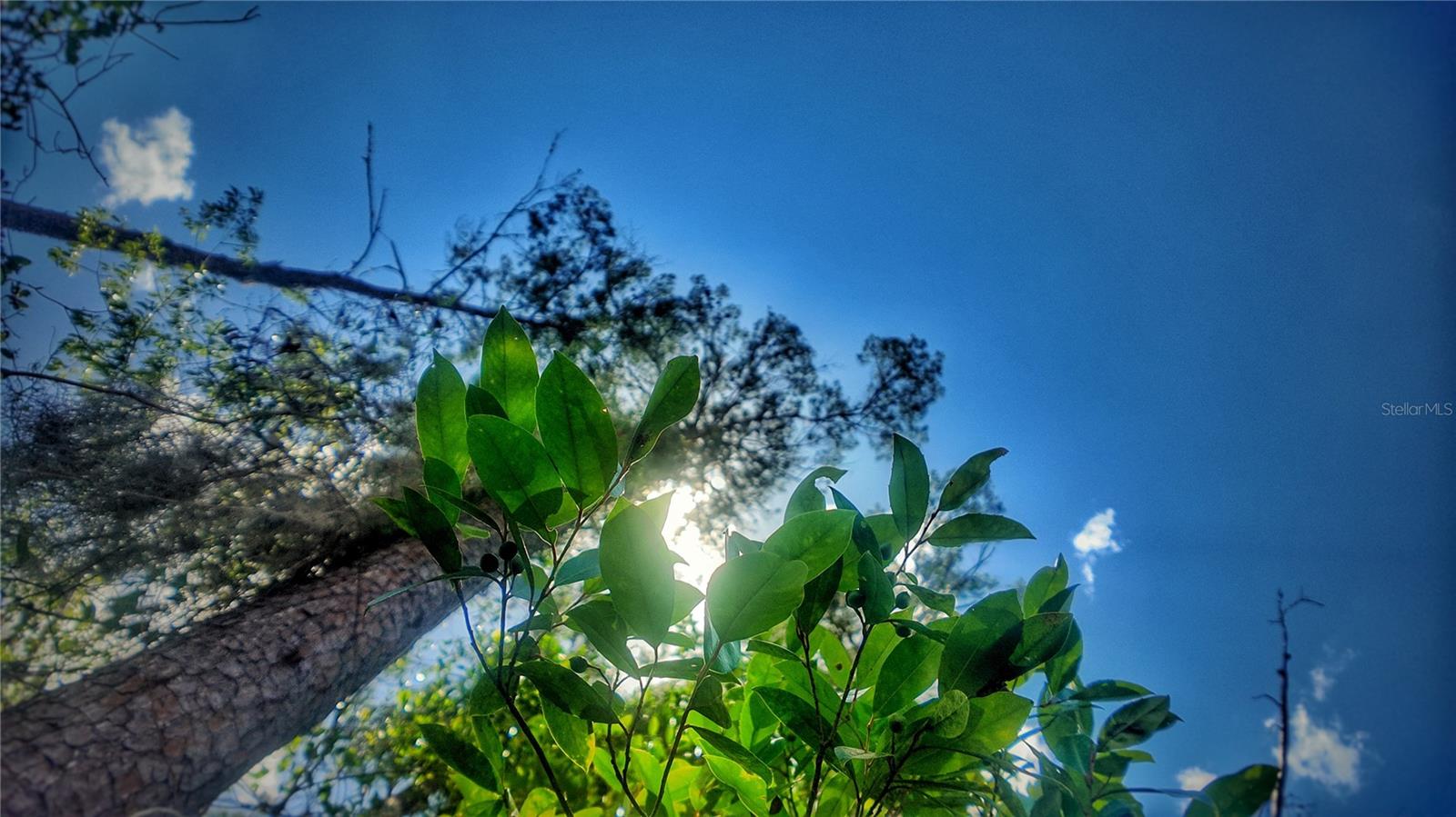 0 LOT 0370, NEW PORT RICHEY, FL, 34654