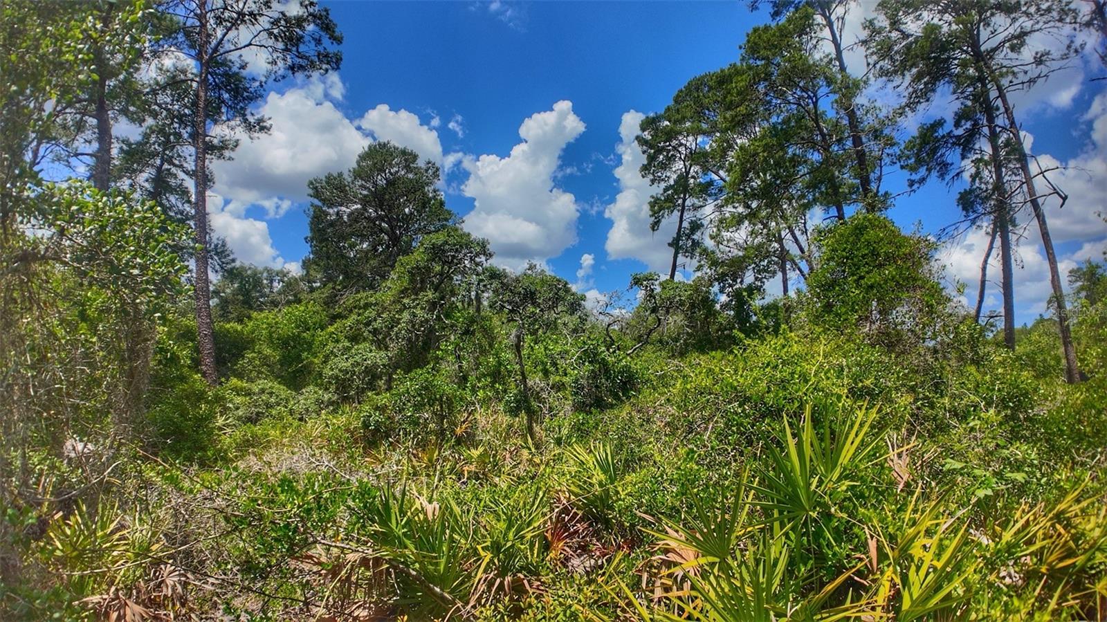 0 LOT 0370, NEW PORT RICHEY, FL, 34654
