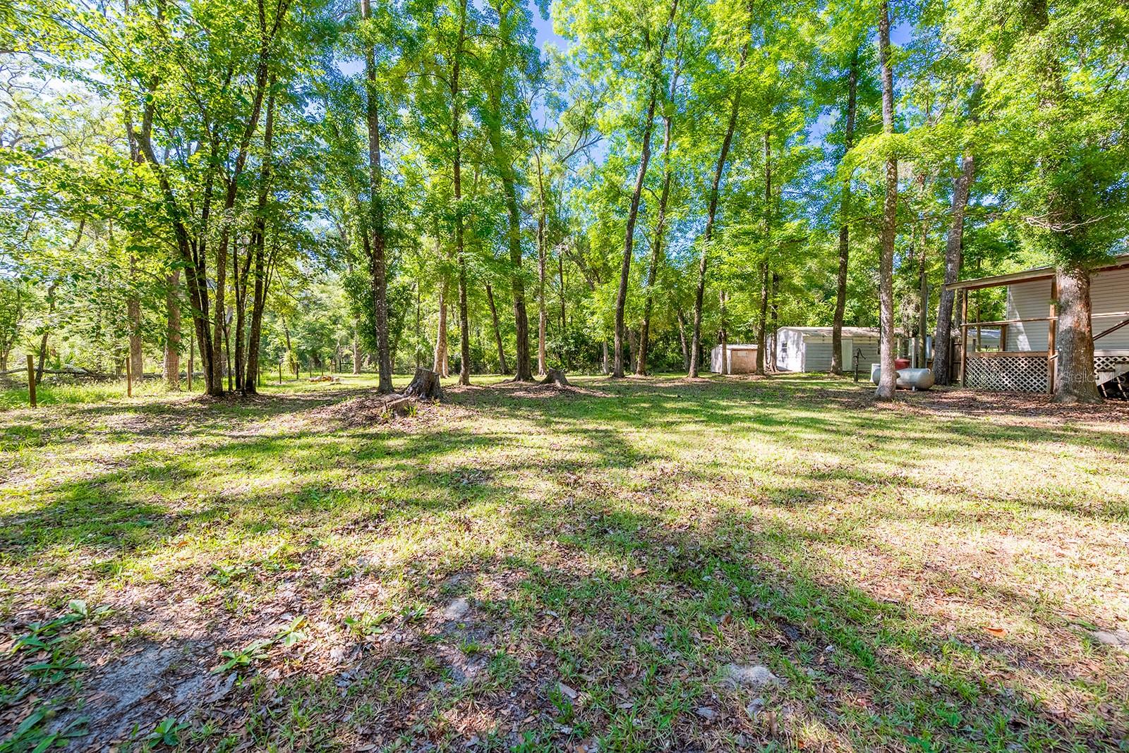 343 NE 743RD ST, OLD TOWN, FL, 32680