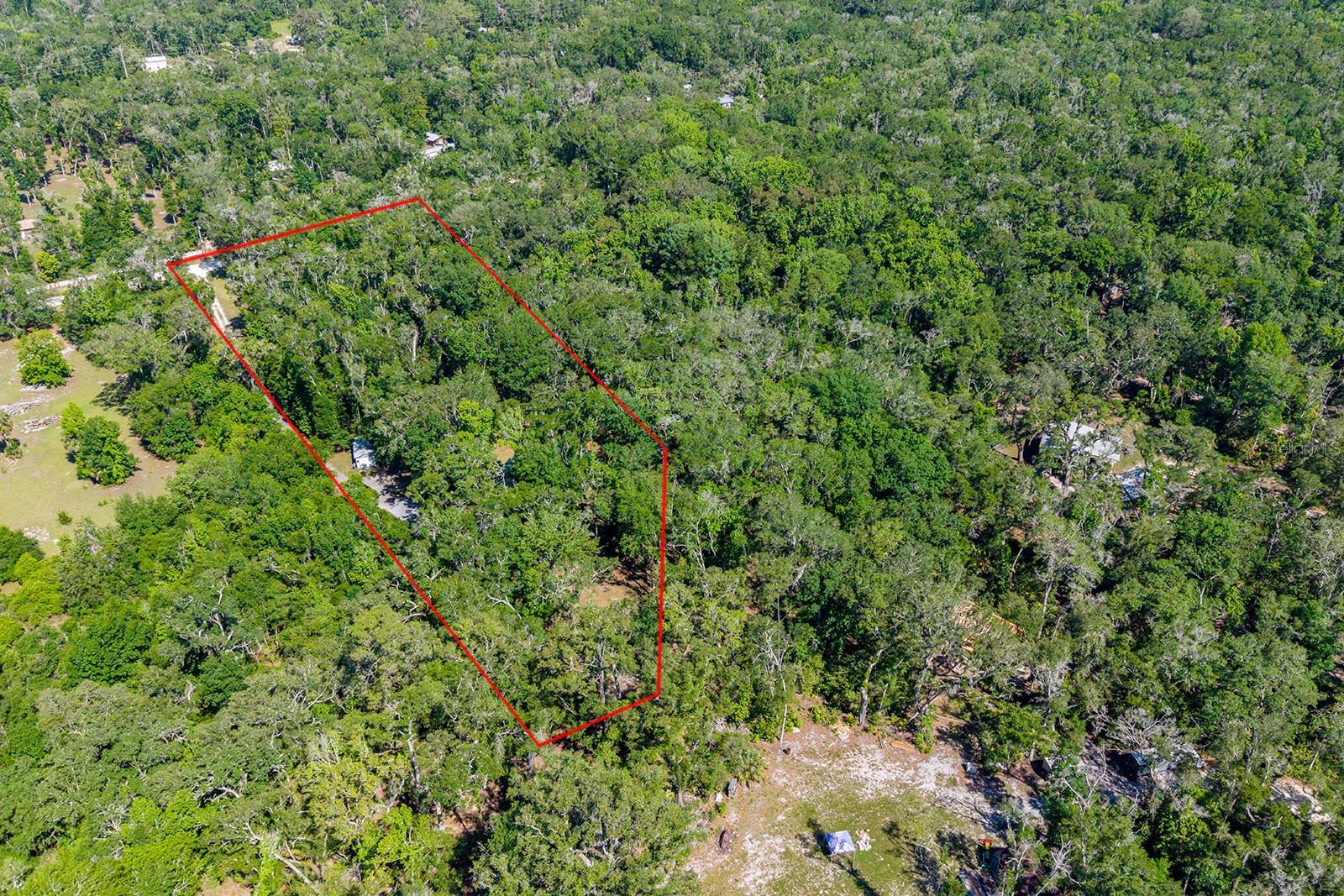 343 NE 743RD ST, OLD TOWN, FL, 32680