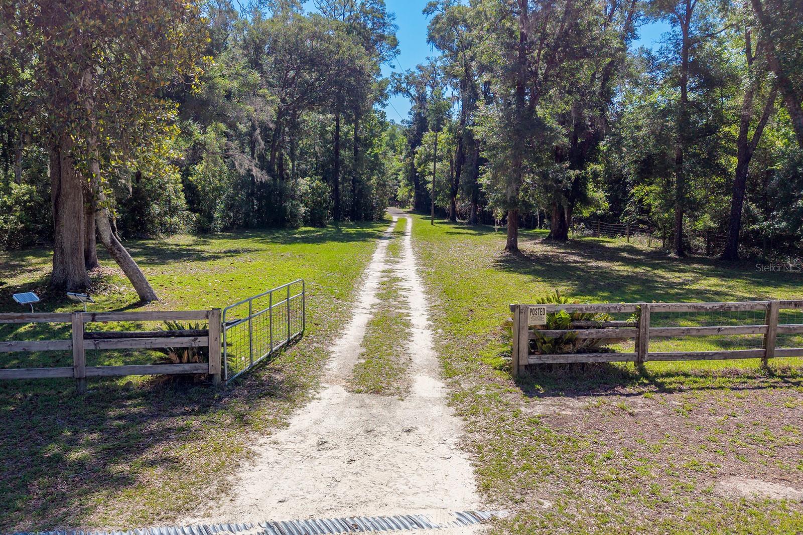 343 NE 743RD ST, OLD TOWN, FL, 32680