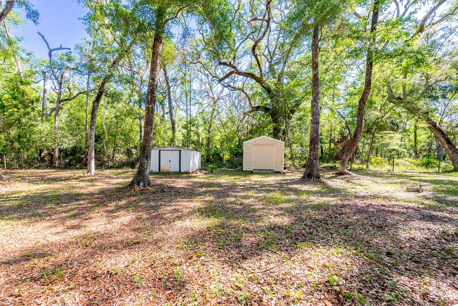 343 NE 743RD ST, OLD TOWN, FL, 32680