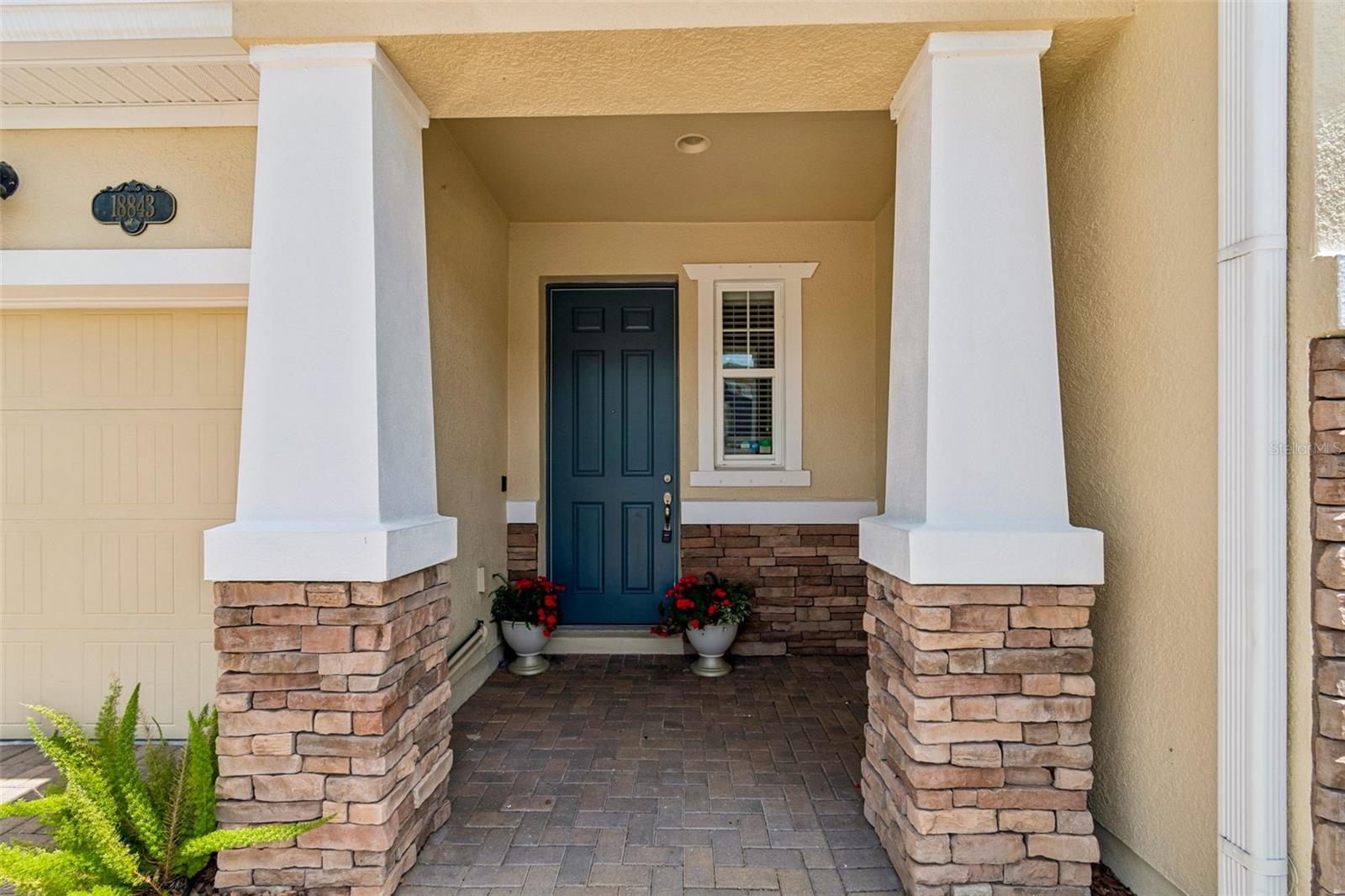18843 ULMUS ST, LUTZ, FL, 33558