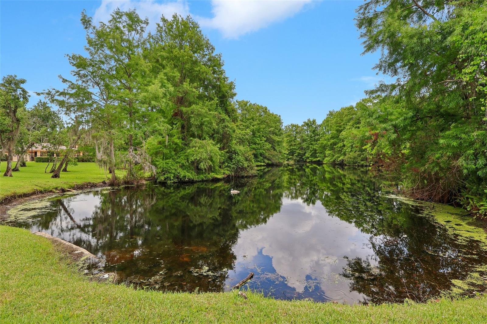 4842 S SEMORAN BLVD #705, ORLANDO, FL, 32822