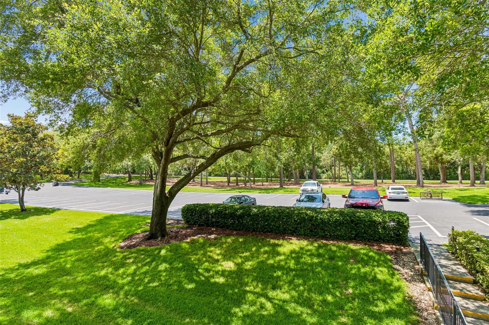 36750 US HIGHWAY 19 #21202, PALM HARBOR, FL, 34684