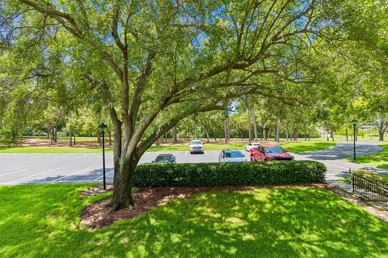 36750 US HIGHWAY 19 #21202, PALM HARBOR, FL, 34684